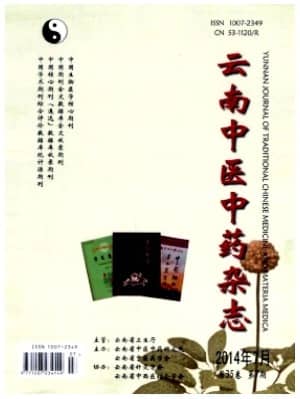 云南中医中药