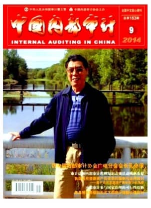 中国内部审计