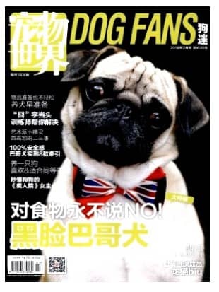 宠物世界(狗迷)