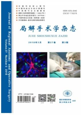 局解手术学