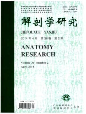 解剖学研究