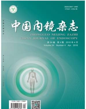 中国内镜
