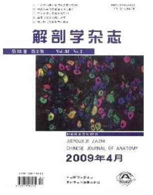 解剖学