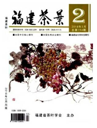 福建茶叶
