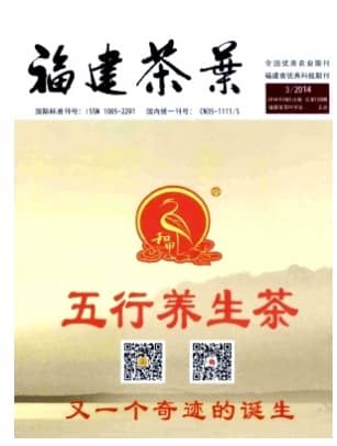 福建茶叶