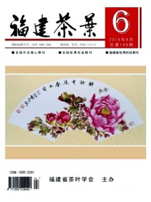 福建茶叶