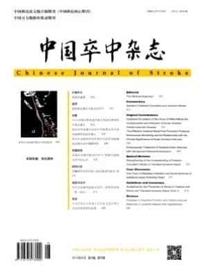中国卒中