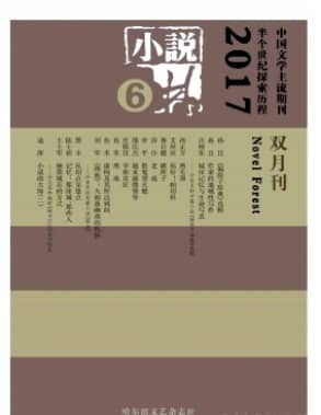小说林