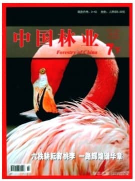 中国林业