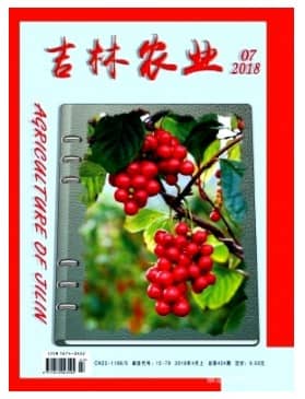 吉林农业