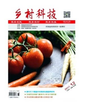 乡村科技