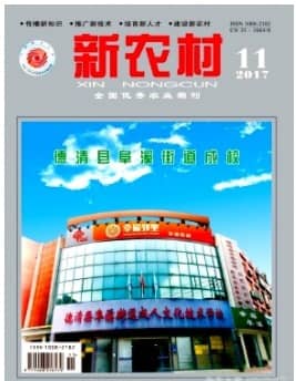 新农村