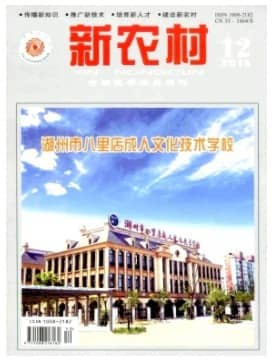 新农村