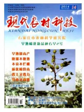 现代农村科技
