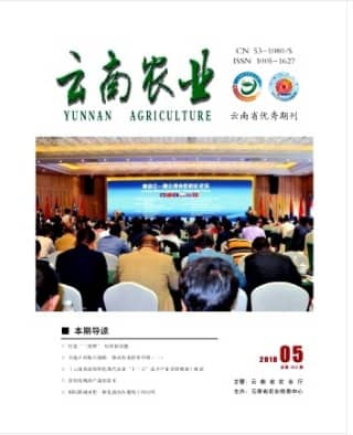 云南农业