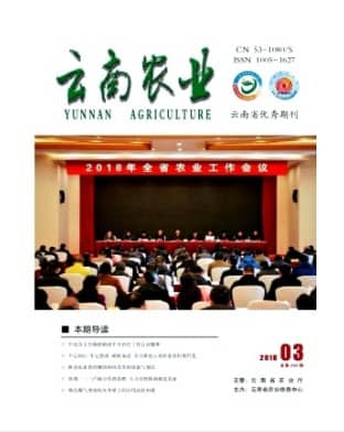 云南农业