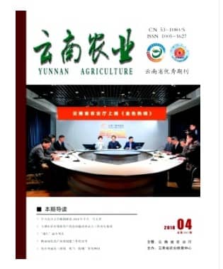 云南农业