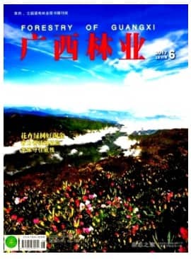 广西林业