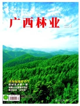 广西林业