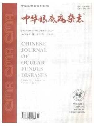 中华眼底病