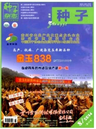 种子