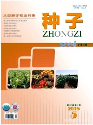 种子
