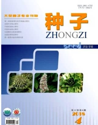 种子