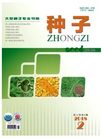 种子
