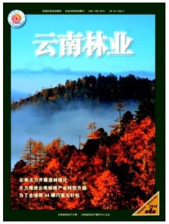 云南林业