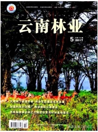 云南林业