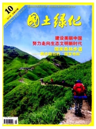 国土绿化