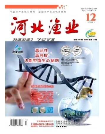 河北渔业