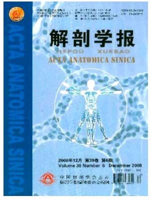 解剖学报