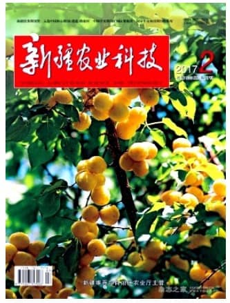 新疆农业科技