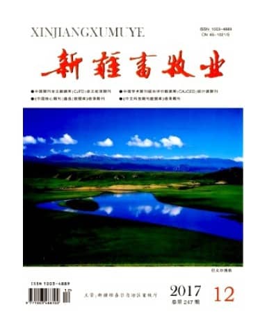 新疆畜牧业