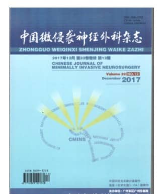 中国微侵袭神经外科