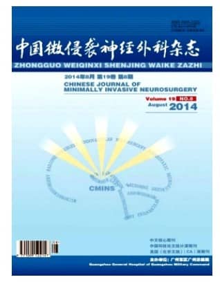 中国微侵袭神经外科
