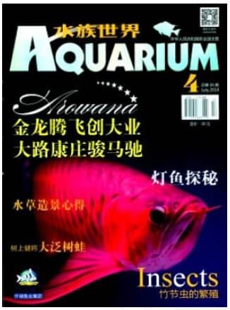 水族世界