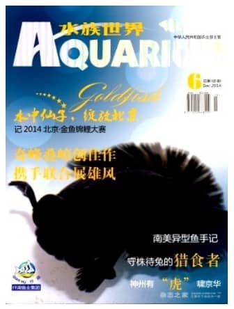 水族世界