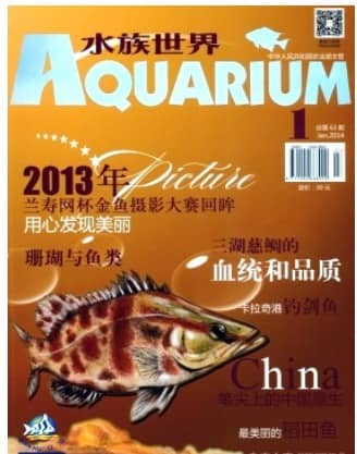 水族世界