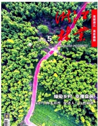 浙江林业