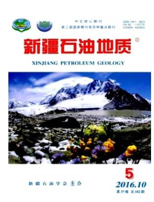 新疆石油地质