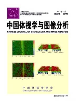 中国体视学与图像分析