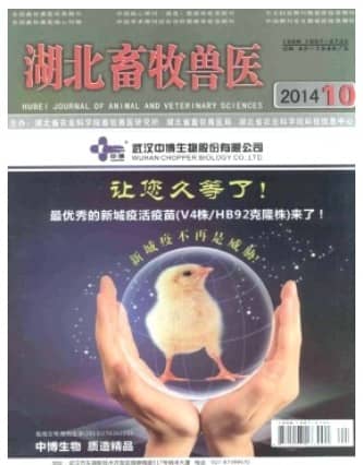 湖北畜牧兽医