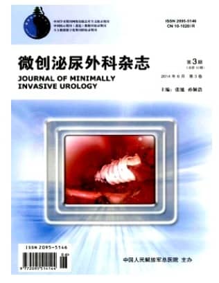 微创泌尿外科