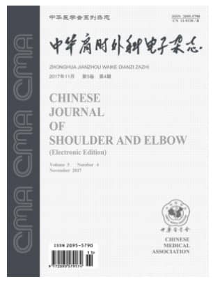 中华肩肘外科电子