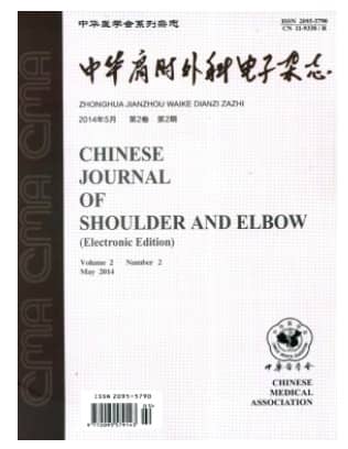 中华肩肘外科电子
