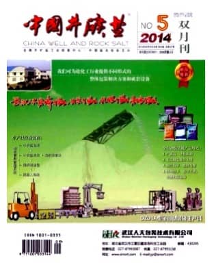 中国井矿盐
