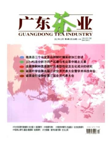 广东茶业