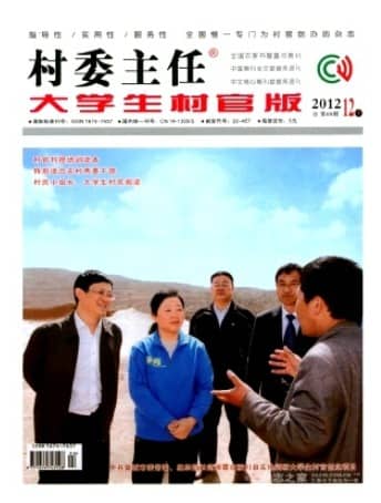 村委主任